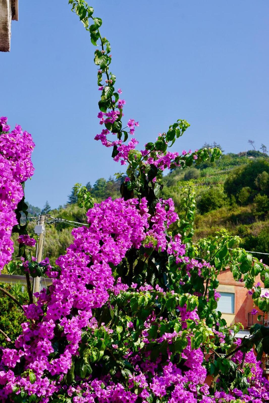 Appartamento Le Conchiglie Monterosso Al Mare Exterior foto