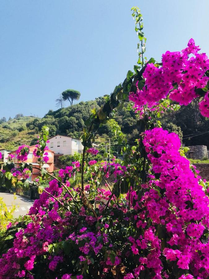 Appartamento Le Conchiglie Monterosso Al Mare Exterior foto